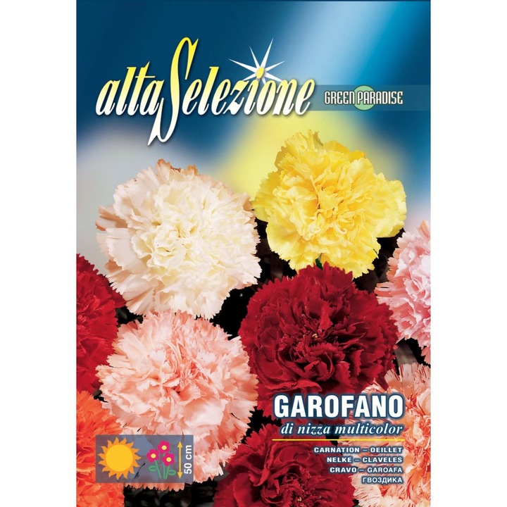 Seminte Alta Selezione flori - Garoafa De Nisa Multicolor plic 1,5 grame