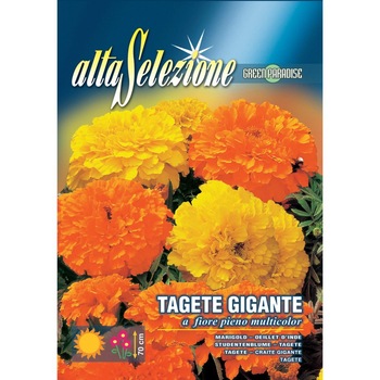 Seminte Alta Selezione flori - Craite gigante Flori Pline Multicolor plic 2 grame Seminte Alta Selezione flori - Craite gigante Flori Pline Multicolor plic 2 grame