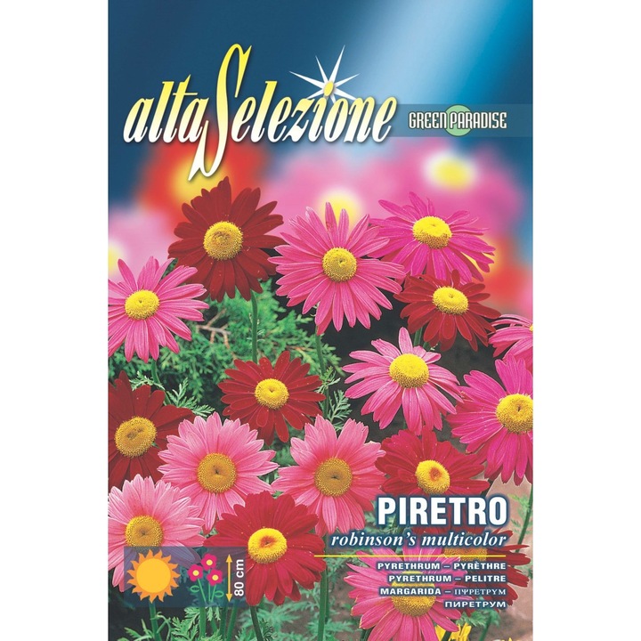 Seminte Alta Selezione flori - Piretru Robinson's multicolor plic 0,4 grame