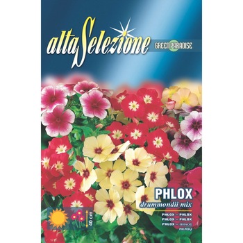 Seminte Alta Selezione flori - Brumarele mix plic 1 gram Seminte Alta Selezione flori - Brumarele mix plic 1 gram