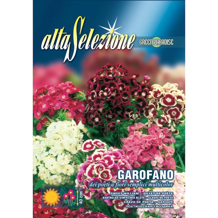 Seminte Alta Selezione flori - Garoafa poetilor Flori Simple Multicolor plic 1,5 grame