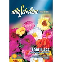 seminte alta selezione flori - flori de piatra flori duble multicolor plic 04 grame imagen 0_0_0