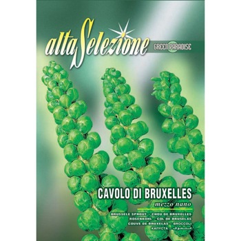 Seminte Alta Selezione legume - Varza de Bruxelles Mezzo Nano plic 6 grame Seminte Alta Selezione legume - Varza de Bruxelles Mezzo Nano plic 6 grame