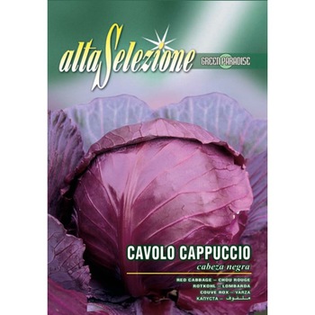 Seminte Alta Selezione legume - Varza rosie Cabeza Negra plic 6 grame Seminte Alta Selezione legume - Varza rosie Cabeza Negra plic 6 grame