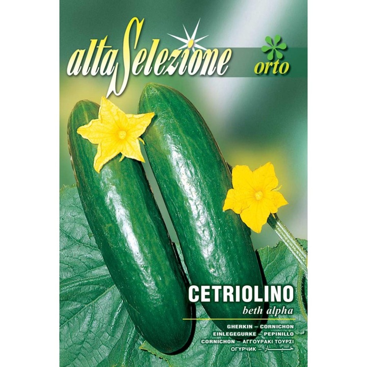 Seminte Alta Selezione legume - Castraveti Beth Alpha plic 5 grame