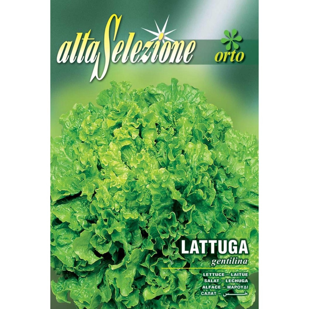 Seminte Alta Selezione legume - Salata creata Gentilina plic 6 grame