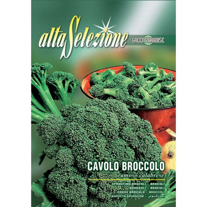 Seminte Alta Selezione legume - Broccoli Ramoso Calabrese plic 5 grame