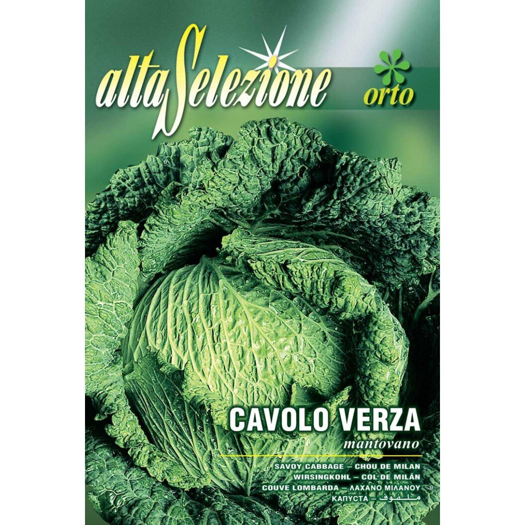 Seminte Alta Selezione legume - Varza tip Savoy Montovano plic 6 grame