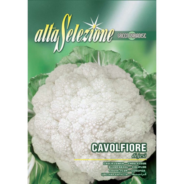 Seminte Alta Selezione legume - Conopida Di Jesi plic 3,5 grame