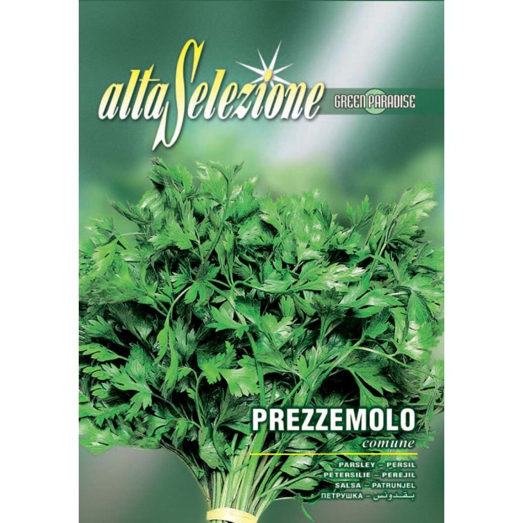 Seminte Alta Selezione legume - Patrunjel de frunze Comune plic 12 grame