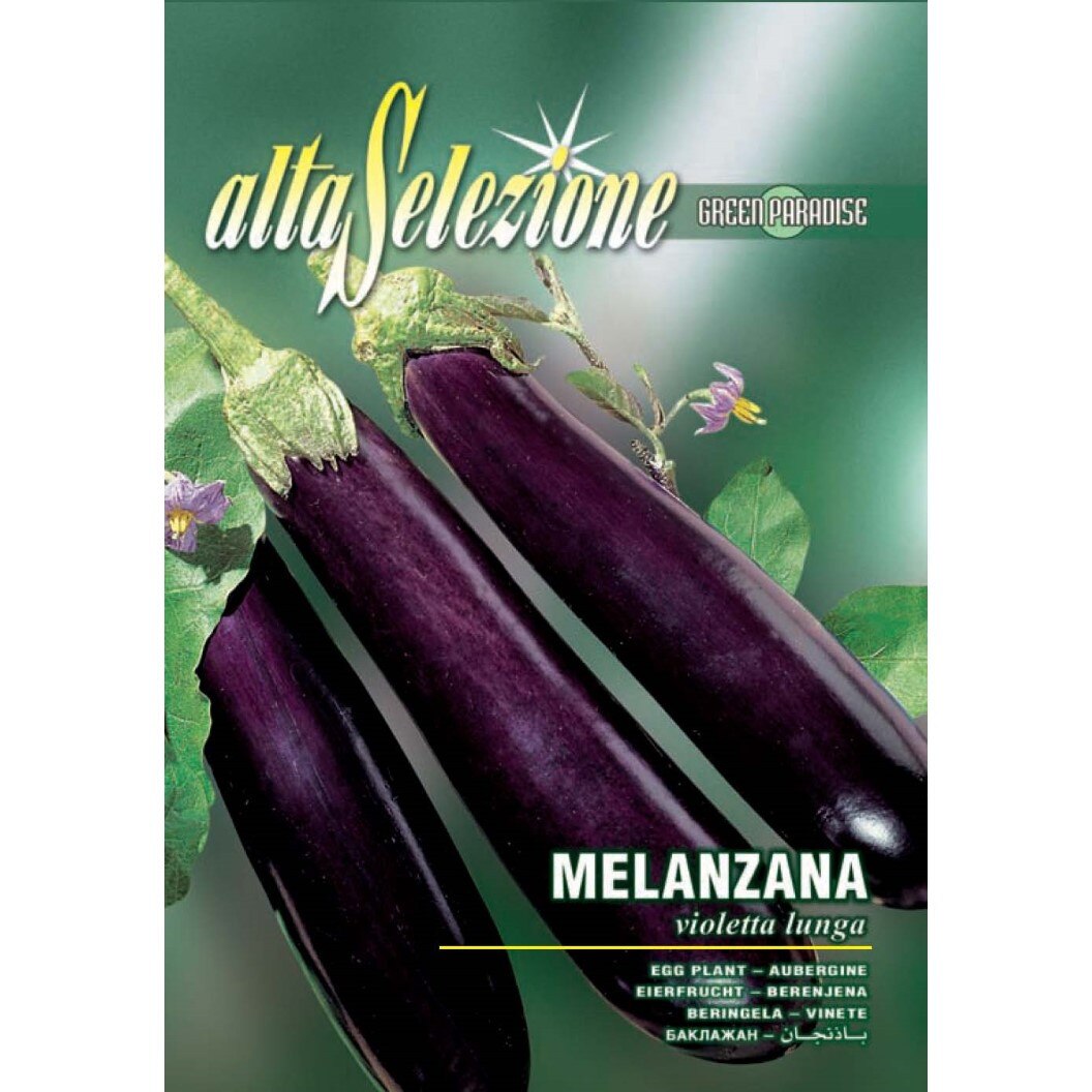 Seminte Alta Selezione legume - Vinete Violetta Lunga plic 2,5 grame