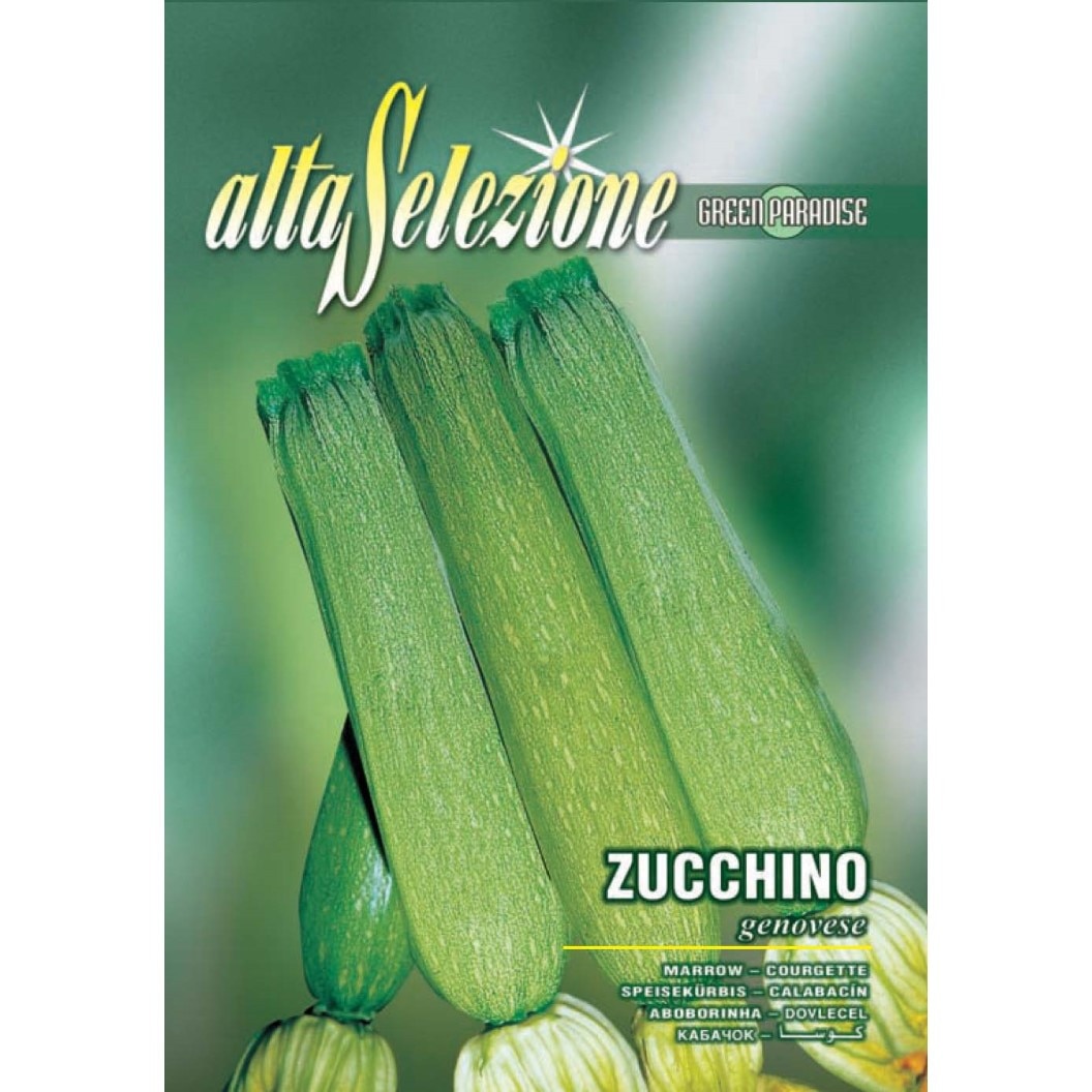 Seminte Alta Selezione legume - Dovlecel Genovese plic 7 grame