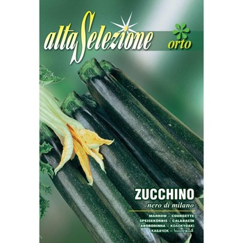 Seminte Alta Selezione legume - Dovlecel Nero Di Milano plic 8 grame Seminte Alta Selezione legume - Dovlecel Nero Di Milano plic 8 grame