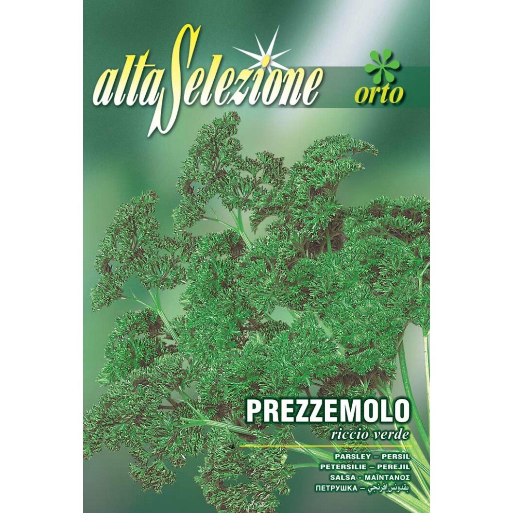 Seminte Alta Selezione legume - Patrunjel de frunze Riccio Verde plic 8 grame