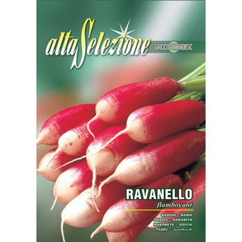 Seminte Alta Selezione legume - Ridichi Flamboyant plic 12 grame Seminte Alta Selezione legume - Ridichi Flamboyant plic 12 grame