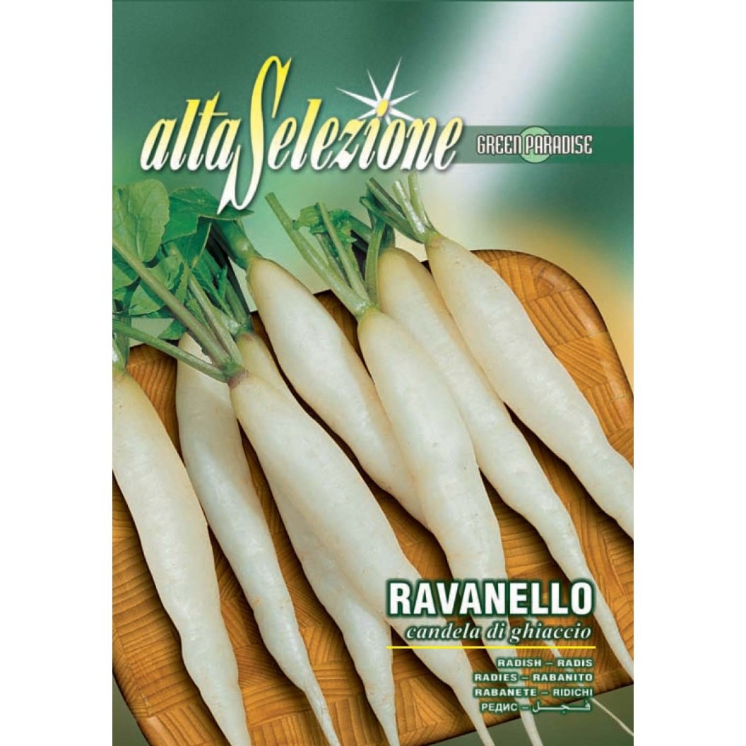 Seminte Alta Selezione legume - Ridichi Candela Di Ghiaccio plic 12 grame