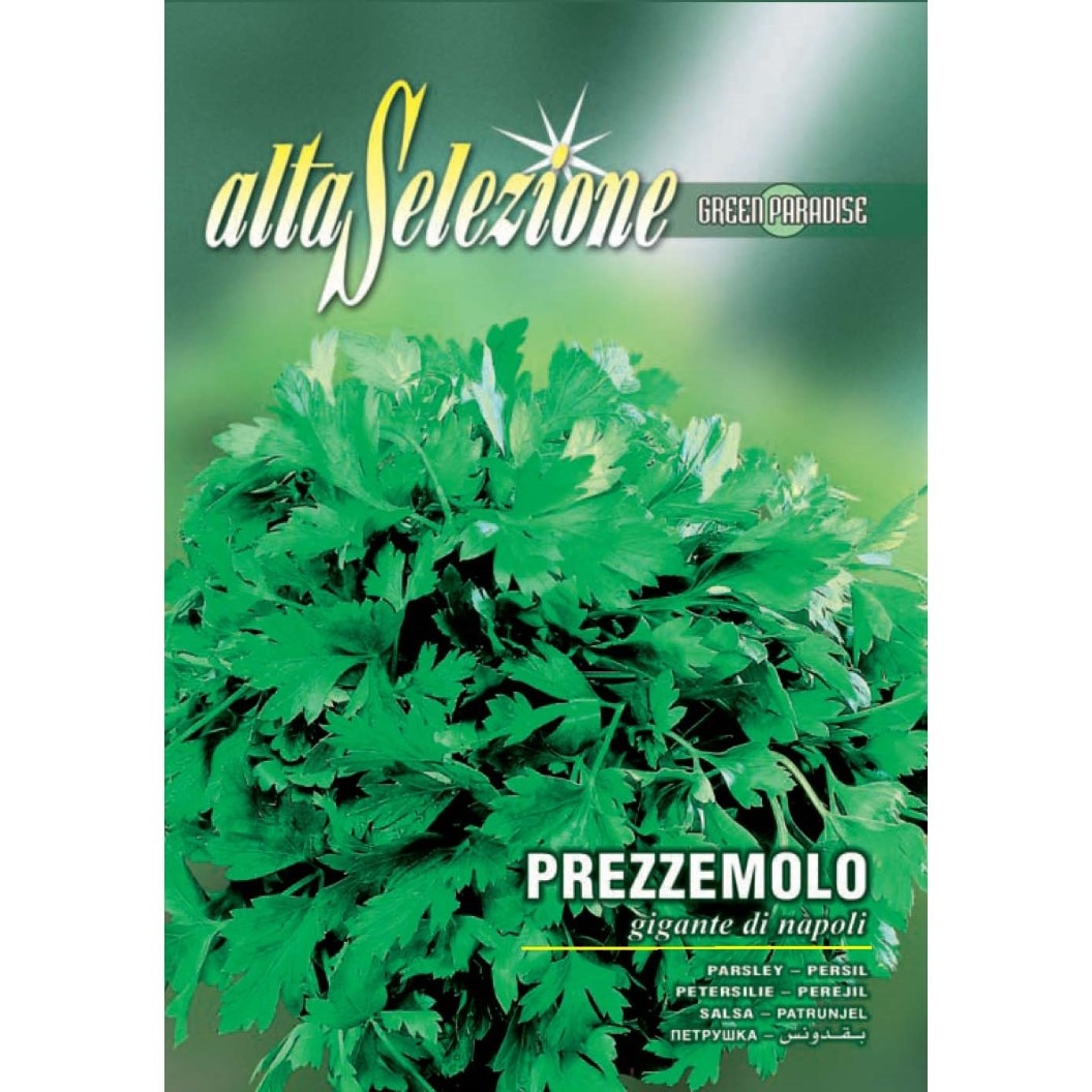 Seminte Alta Selezione legume - Patrunjel de frunze Gigante Di Napoli plic 12 grame