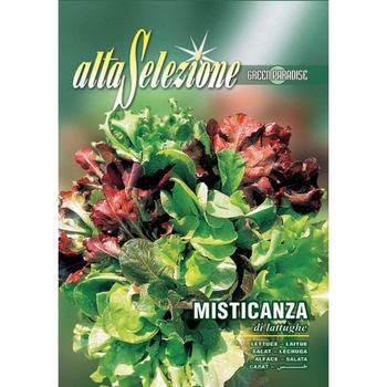 Seminte Alta Selezione legume - Amestec salata de frunze Misticanza Di Lattughe plic 10 grame Seminte Alta Selezione legume - Amestec salata de frunze Misticanza Di Lattughe plic 10 grame