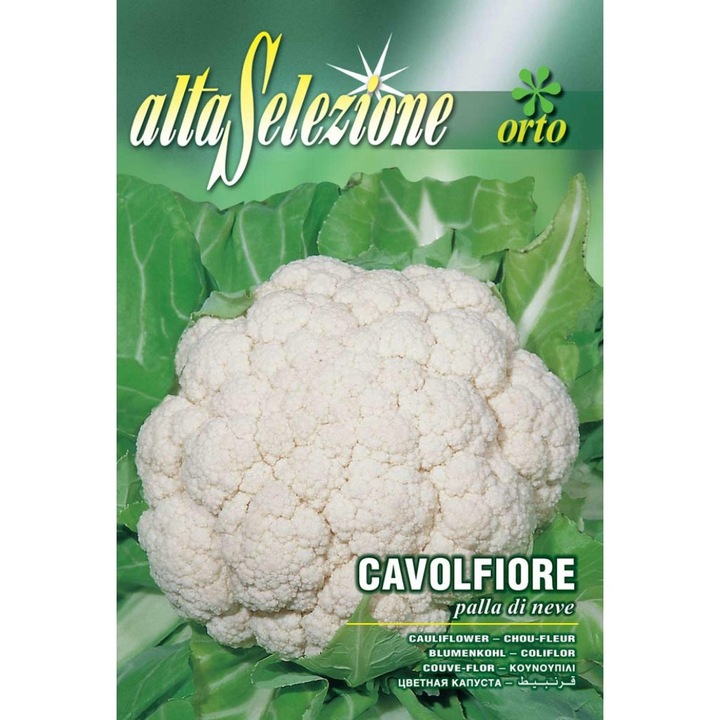 Seminte Alta Selezione legume - Conopida Palla Di Neve plic 2,5 grame