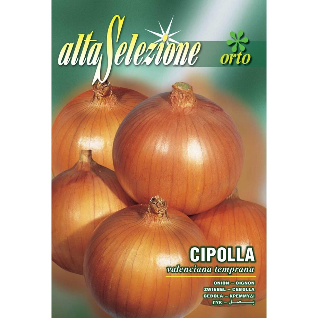 Seminte Alta Selezione legume - Ceapa aurie Valenciana Temprana plic 3 grame