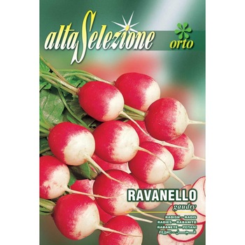 Seminte Alta Selezione legume - Ridichi Gaudry plic 12 grame Seminte Alta Selezione legume - Ridichi Gaudry plic 12 grame