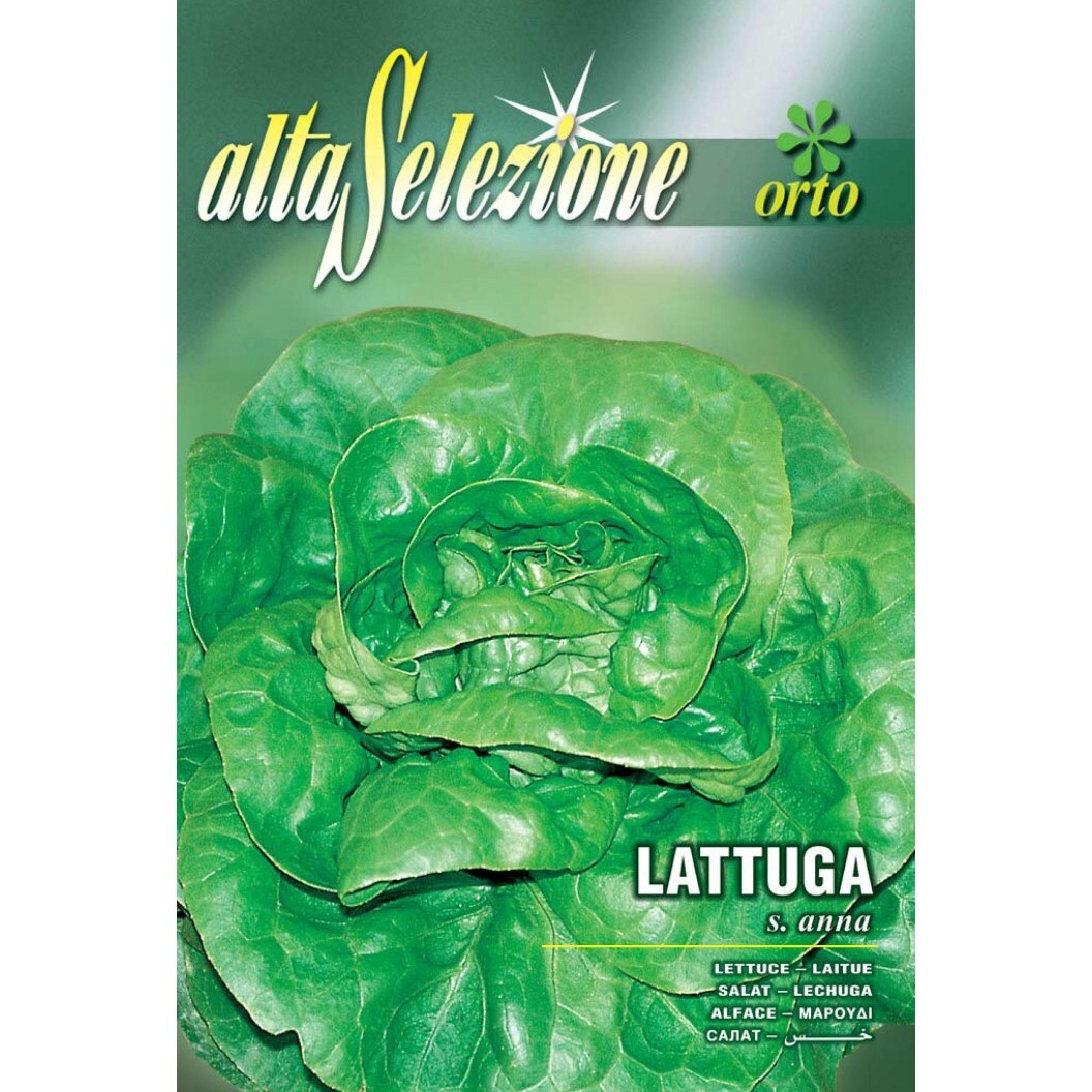 Seminte Alta Selezione legume - Salata de capatana S. Anna plic 8 grame