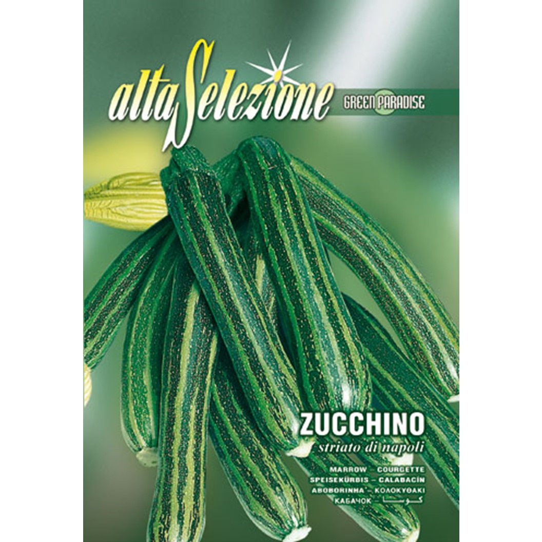 Seminte Alta Selezione legume - Dovlecel Striato Di Napoli plic 7 grame