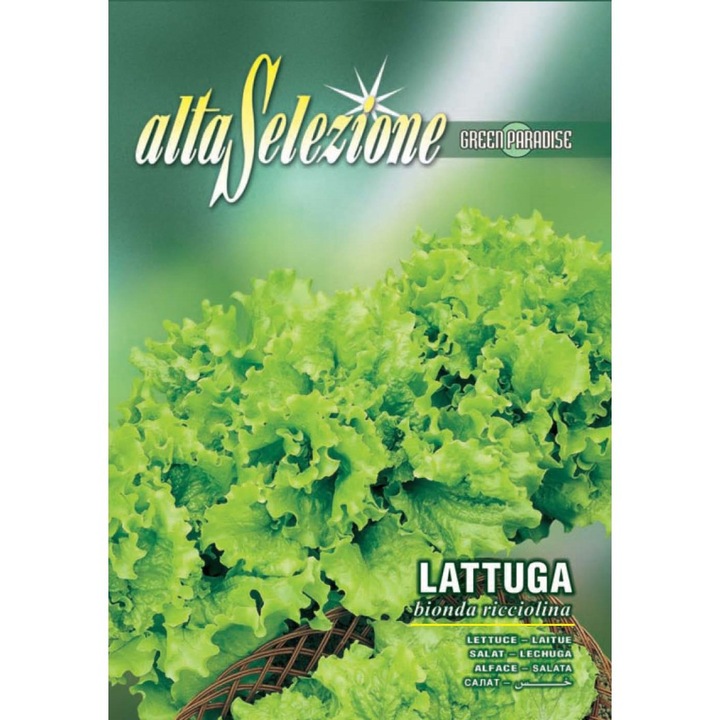 Seminte Alta Selezione legume - Salata de frunze Bionda Ricciolina plic 9 grame