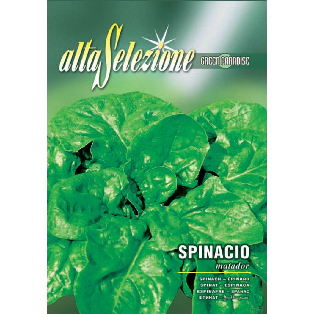 Seminte Alta Selezione legume - Spanac Matador plic 13 grame
