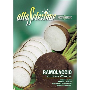 Seminte Alta Selezione legume - Ridichi negre Nero Tondo D'Inverno plic 12 grame Seminte Alta Selezione legume - Ridichi negre Nero Tondo D'Inverno plic 12 grame