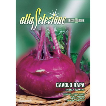 Seminte Alta Selezione legume - Gulioare Wener Blauwe plic 6 grame Seminte Alta Selezione legume - Gulioare Wener Blauwe plic 6 grame