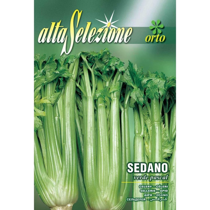 Seminte Alta Selezione legume - Telina de frunze Verde Pascal plic 3 grame