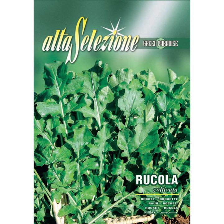 Seminte Alta Selezione legume - Rucola Coltivata plic 12 grame