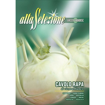 Seminte Alta Selezione legume - Gulioare Di Vienna Bianco plic 6 grame Seminte Alta Selezione legume - Gulioare Di Vienna Bianco plic 6 grame