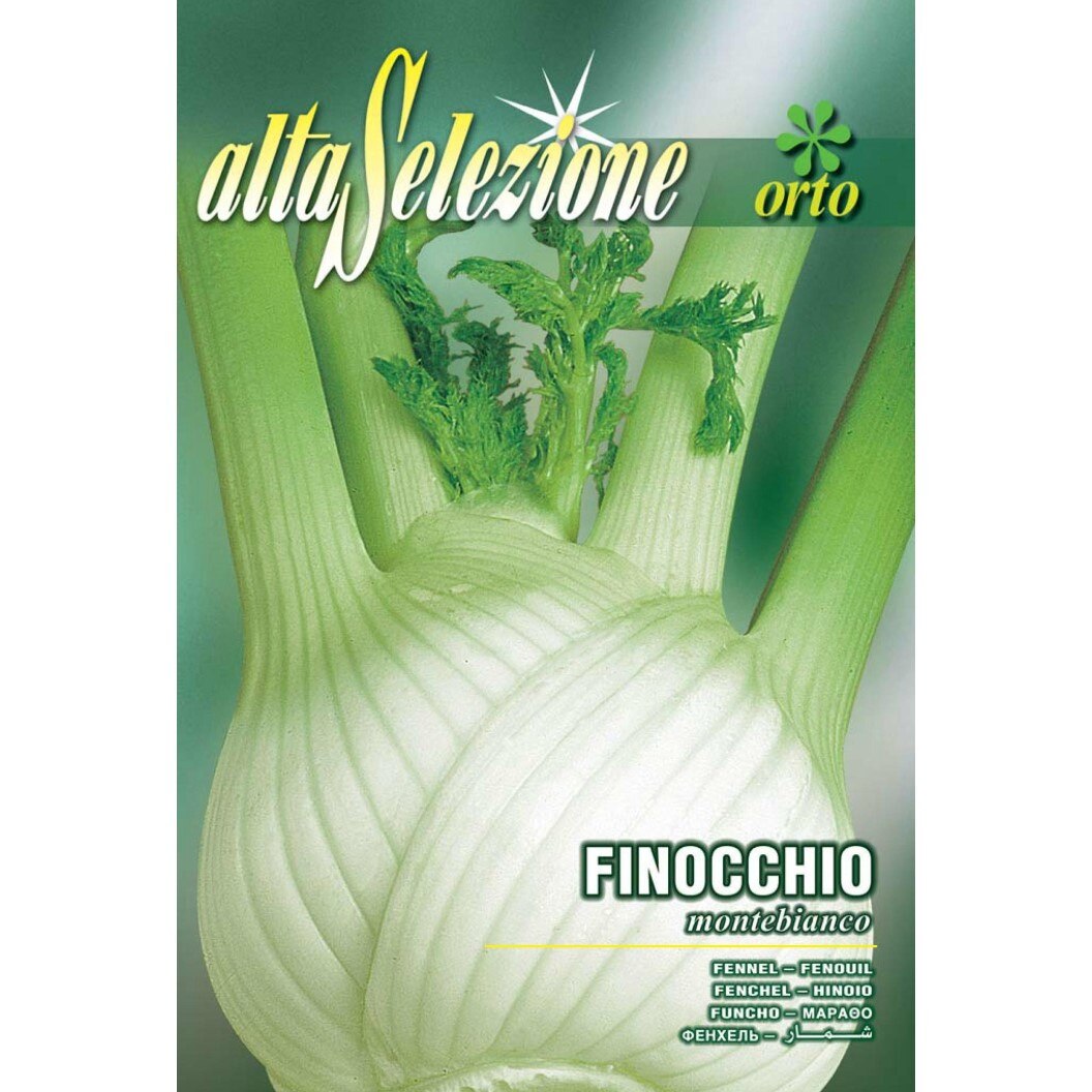 Seminte Alta Selezione legume - Fenicul Montebianco plic 7 grame