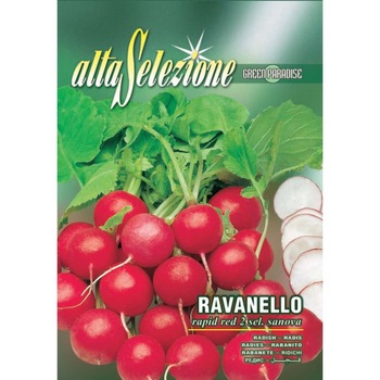 Seminte Alta Selezione legume - Ridichi Rapid Red 2 Sel. Sanova plic 10 grame Seminte Alta Selezione legume - Ridichi Rapid Red 2 Sel. Sanova plic 10 grame