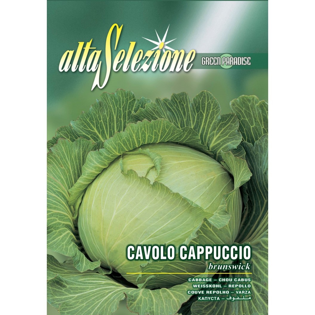 Seminte Alta Selezione legume - Varza alba Brunswick plic 6 grame