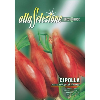Seminte Alta Selezione legume - Ceapa rosie Rossa Lunga Di Firenze plic 3 grame Seminte Alta Selezione legume - Ceapa rosie Rossa Lunga Di Firenze plic 3 grame