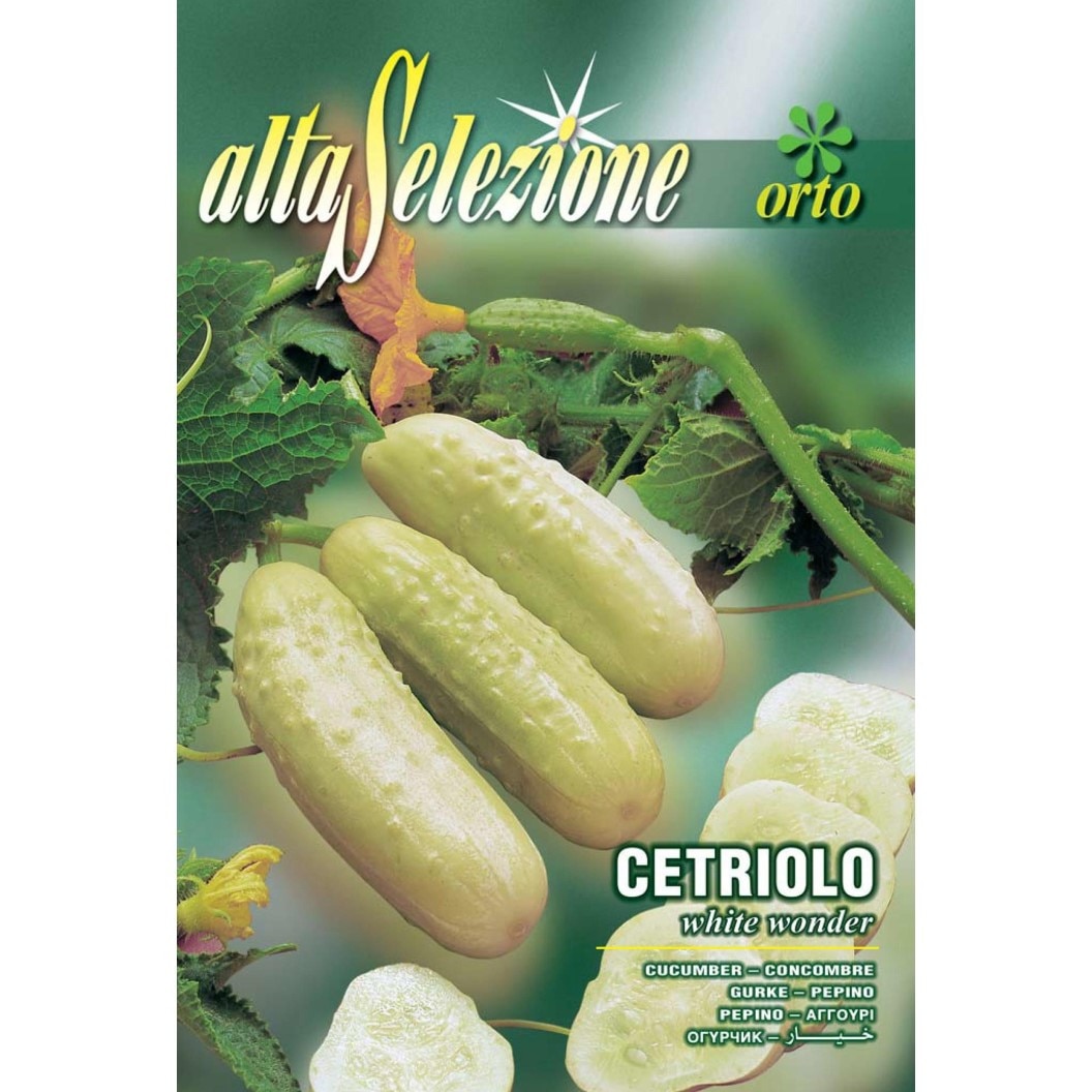 Seminte Alta Selezione legume - Castraveti White Wonder plic 5 grame