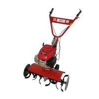 Cauți Motosapa Motor Honda Gcv 160 Alege Din Oferta Emag Ro