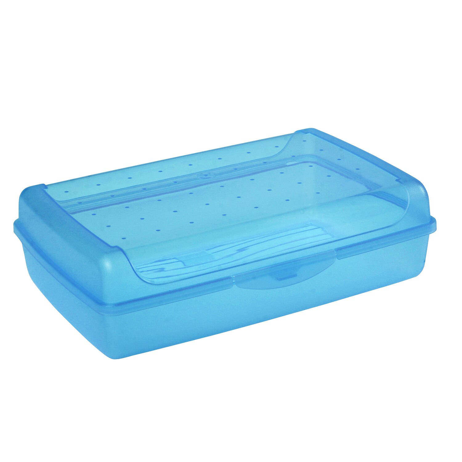 Cutie pentru pranz Keeeper, 3.7 L, Albastra