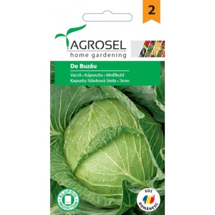 Семена за зеле Бузау, 2,5 грама, Agrosel