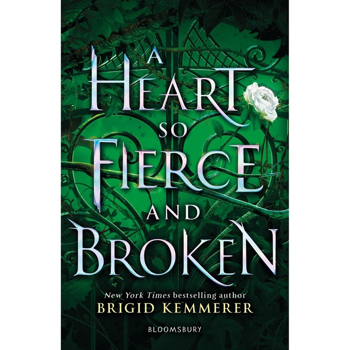 Heart So Fierce And Broken - Brigid Kemmerer