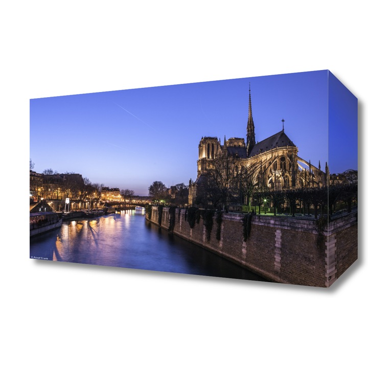 Pictura pe panza, Zakito Posters 30x20cm Notre-Dame de Paris noaptea 2, Assaf Frank