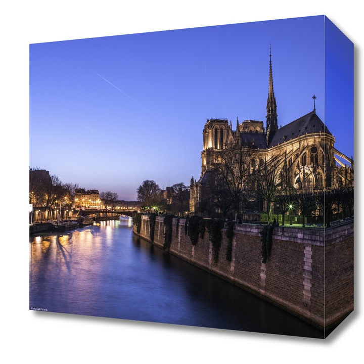 Pictura pe panza, Zakito Posters 30x30cm Notre-Dame de Paris noaptea 2, Assaf Frank