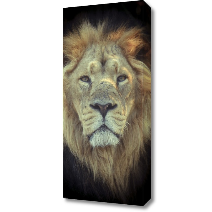 Pictura pe panza, Zakito Posters 30x70cm Cap de leu, Assaf Frank