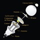 Bec LED cu senzor de miscare si senzor de lumina (PIR), 12W, E27, 6500K, lumina Alb-Rece Putere 12W - Echivalent = 70W Clasic, Clasa A+