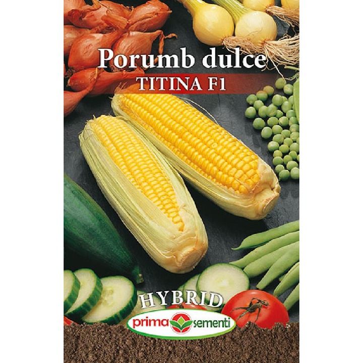 Seminte porumb dulce Titina F1 5g