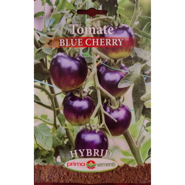 Seminte tomate Blue Cherry Hybrid 0.1g