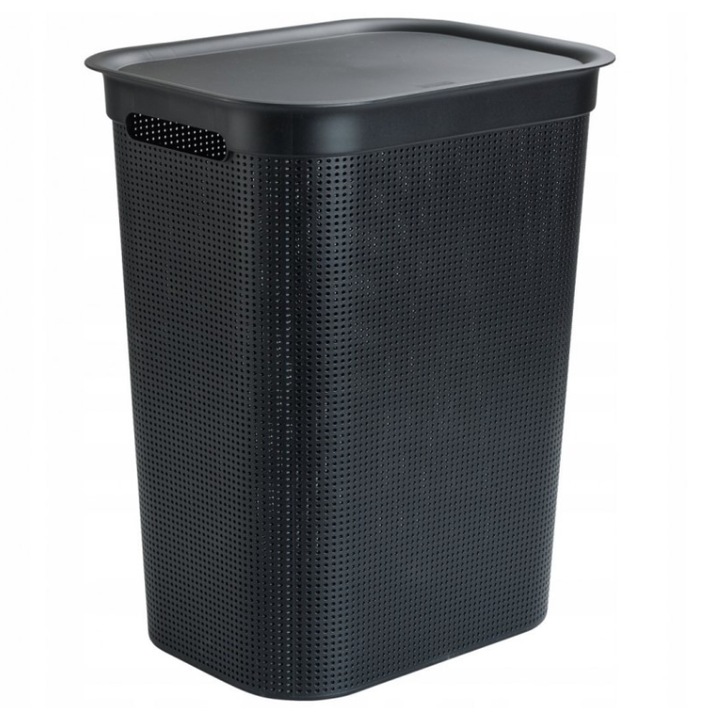 Пластмасов кош за пране с черен капак Rotho Brisen 50L